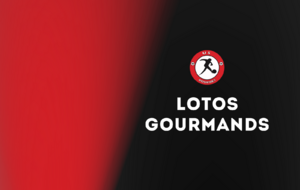 Lotos gourmands